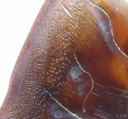 鉴别:真假犀牛角!看这篇就够了!