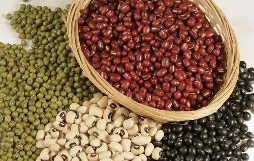 吃豆类好处多是植物蛋白的极好来源