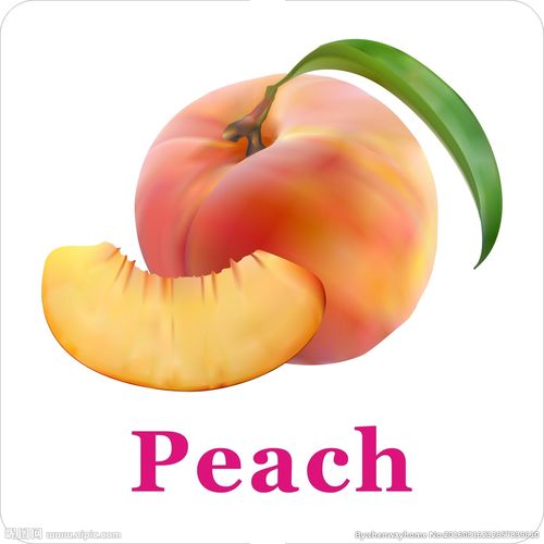 卡通水果 桃子加英文名称图片