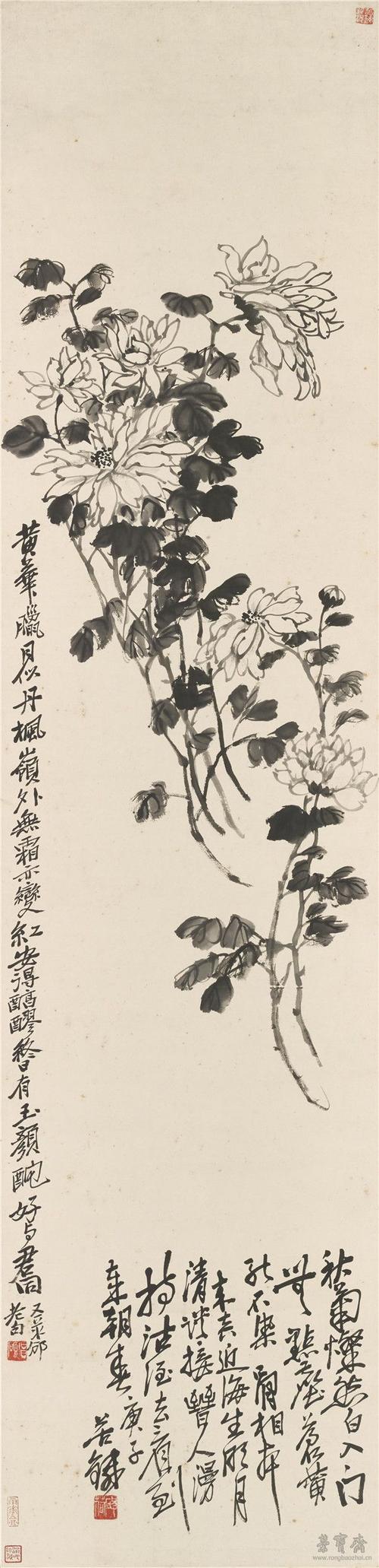 吴昌硕 墨菊 134×82cm