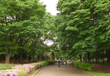 代代木公园旅游