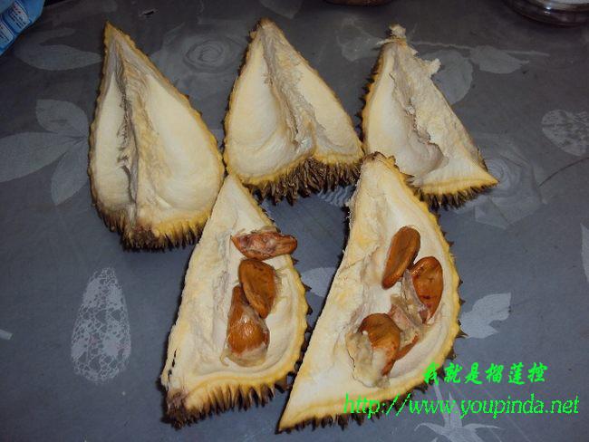 榴莲壳不是鸡肋