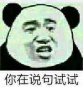 公主表情包你脑子进水了吧表情包