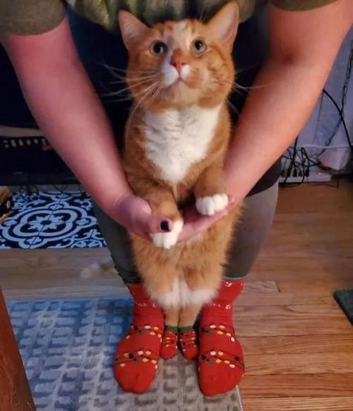 不化妆的有没有发点自拍来看看你头像是你自己吗如何用三句话让聊天