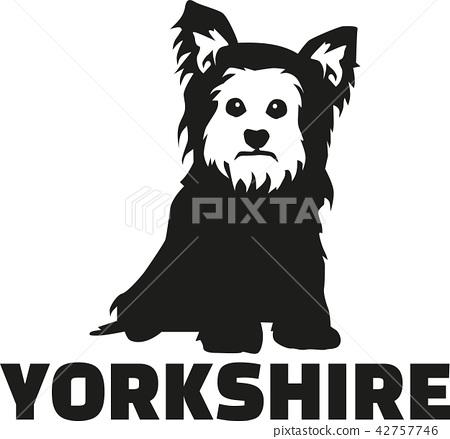 插图素材: yorkshire terrier with breed name