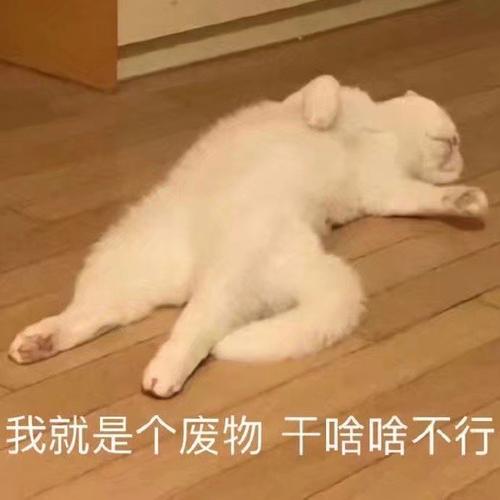我就是个废物干啥啥不行废物不行就是表情