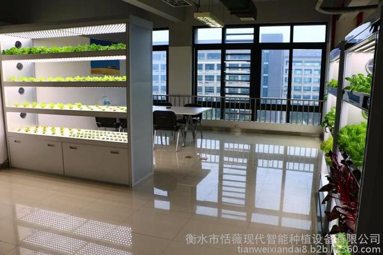 现代智能水培设备智能植物工厂家庭 酒店 学校咖啡厅家庭型蔬菜种植机