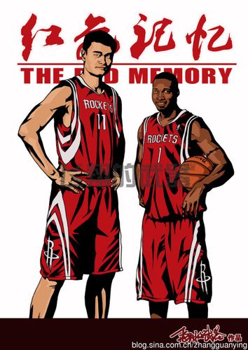 2013后,nba的江湖,再无姚麦——麦迪退役纪念画辑