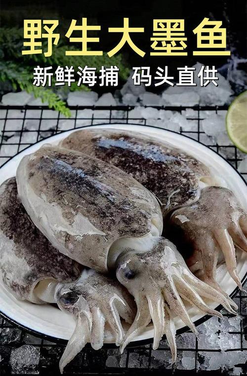 墨鱼新墨鱼北海新鲜大墨鱼北海鲜活超大墨鱼水产海鲜巨型乌贼速冻