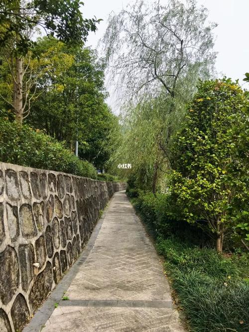 长沙谷山森林公园失败之旅_长沙_景点_森林_爬山_谷山