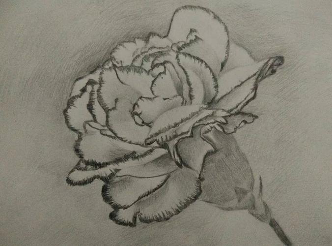 母亲节《手绘康乃馨》活动,投票进行中.