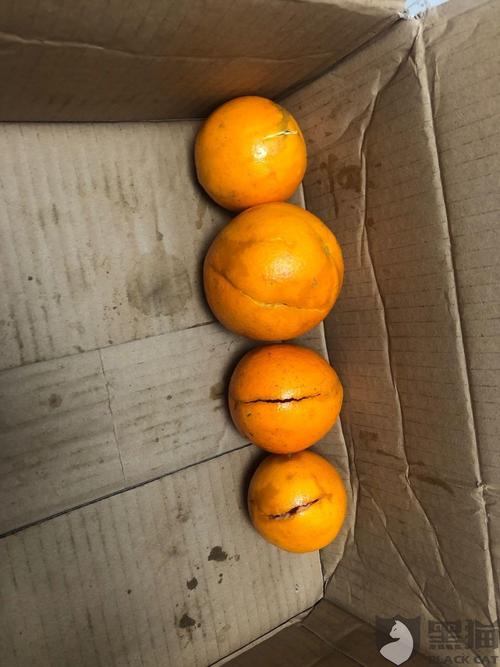 黑猫投诉部分橙子发货10天后退回部分超时配送