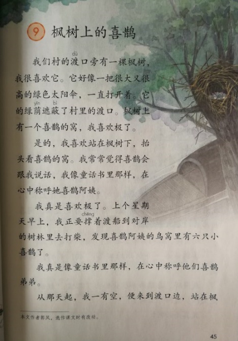 课文 第九课 枫树上的喜鹊