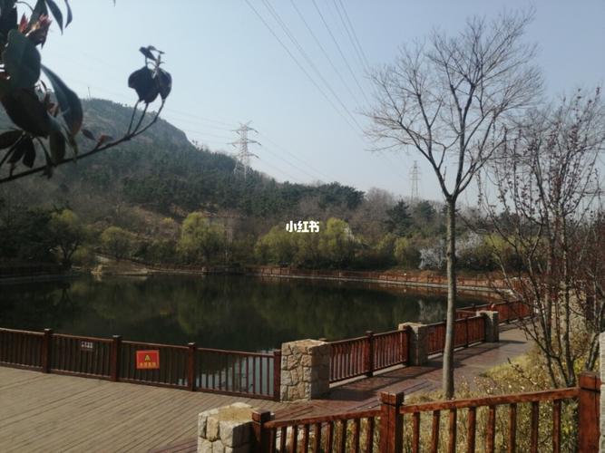 青岛浮山生态公园_出行_人文风光展示