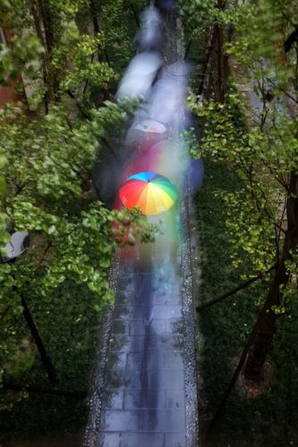 雨中彩虹