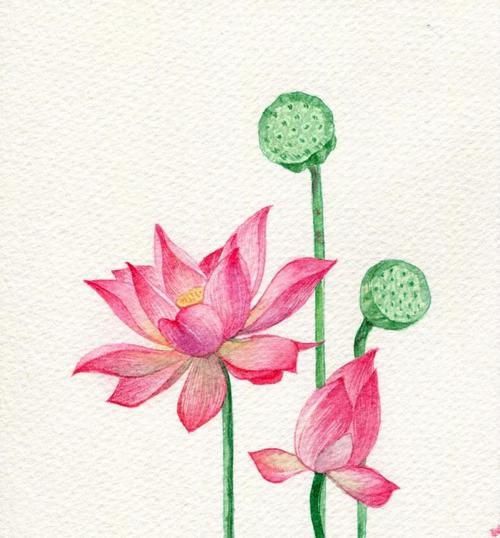 儿童初学水彩画视频|水彩画儿童简单教程(儿童全套视频教程)