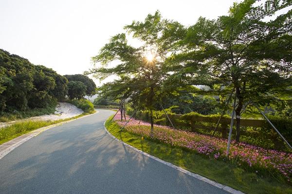 龙华环城绿道大水坑段 (1).jpg