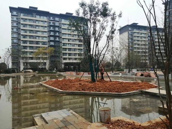 独冷怡心湖光明蓉府蹉跎一年去化不足五成