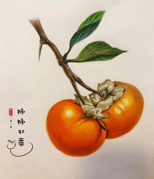 彩铅画—柿柿如意,好柿成双!_彩铅画_如意_文化_绘画