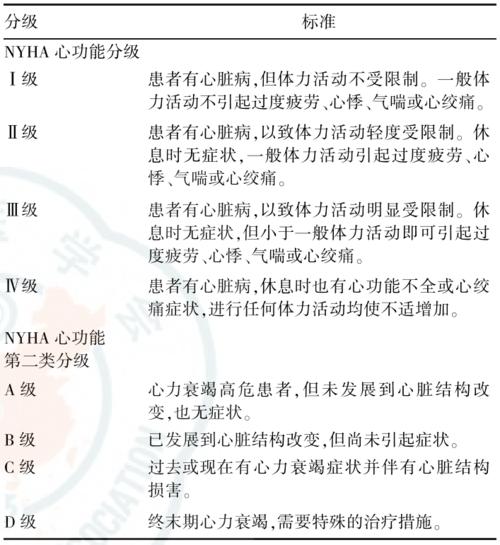 表3 nyha心功能分级