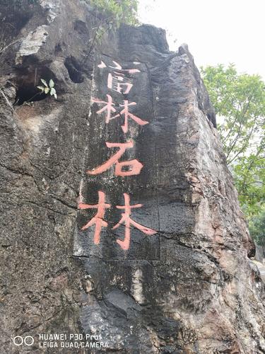 云浮云雾山春都温泉2天游2020.10月28日