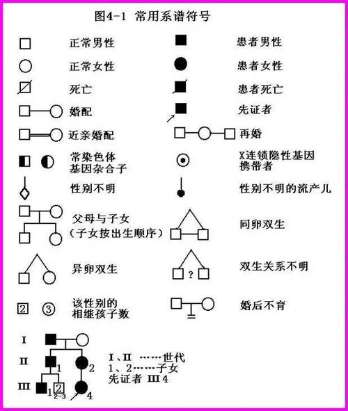 收藏家谱图家系图的制作技术