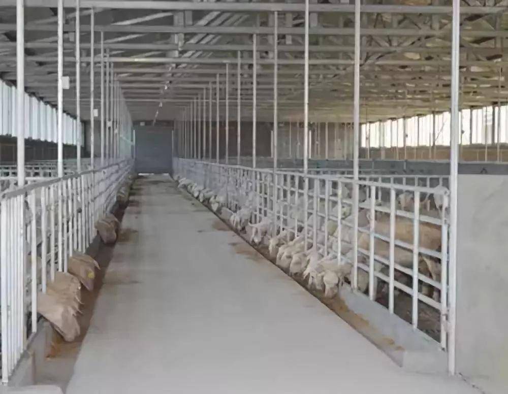 标准羊场建设图纸及实景图很实用请参考
