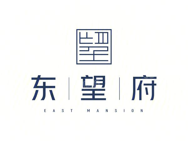 中天建杭东望府