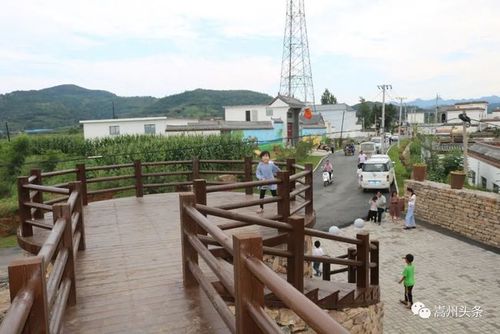 【关注】变化!嵩县饭坡镇沙坡村:昔日沙土满坡 如今绿树成荫!
