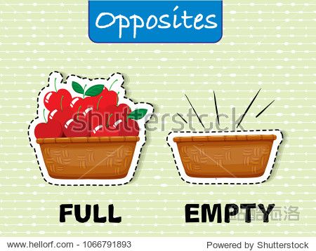 opposite english word on green background illustration
