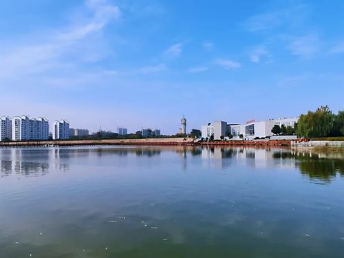 柘城县容湖景区一湖碧水千树染秋万种姿态