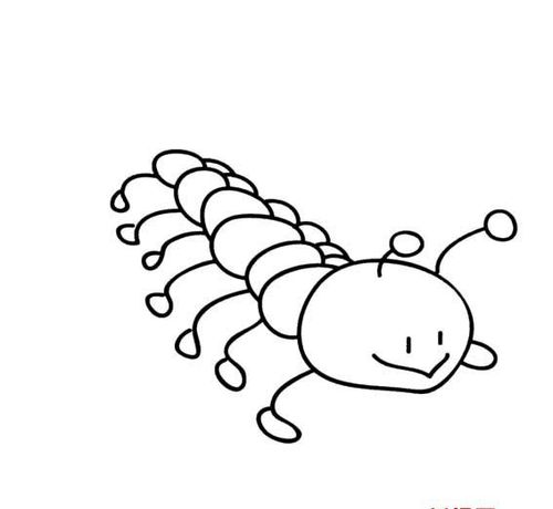 蜈蚣简笔画法卡通动物