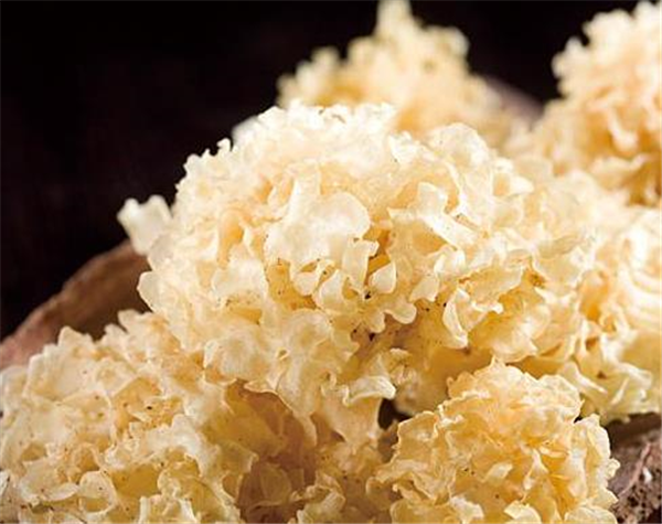 菌中之冠椴木银耳的功效