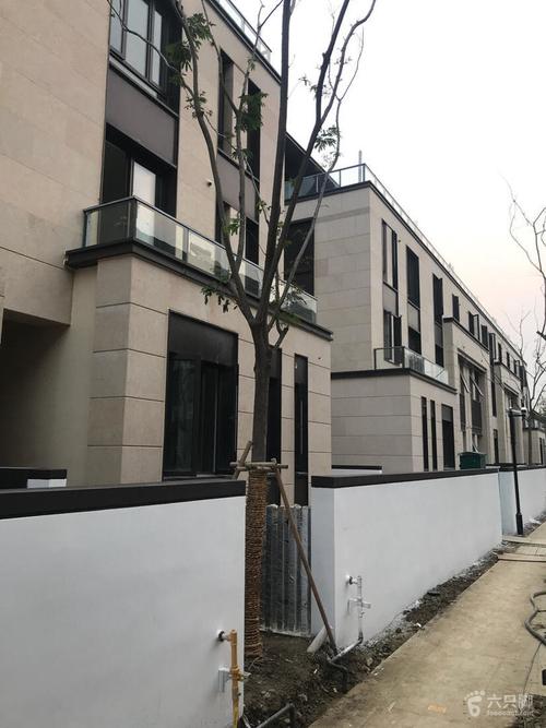 苏州国瑞熙墅死亡苗木喷漆脚印-7