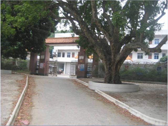 广东省本地商家茂名市本地商家高州市本地商家新垌镇本地商家