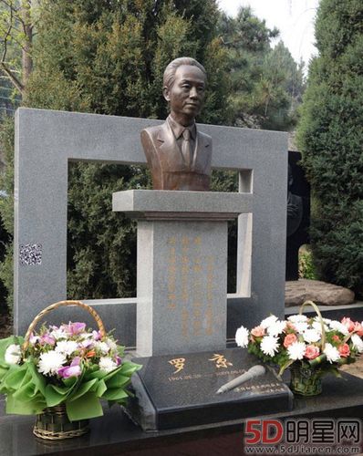 罗京墓地在哪多少林阳第一豪婿钱 看见孩子抱着罗老师