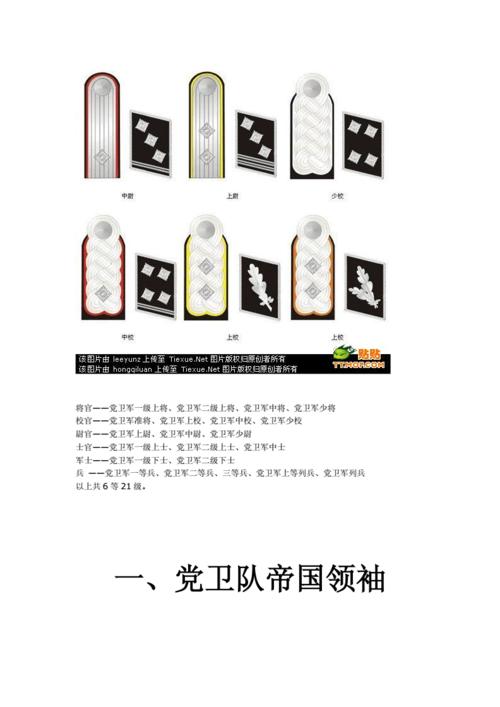 二战德国党卫军军衔标志docx18页