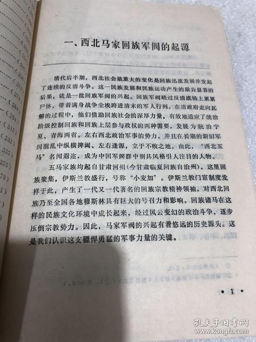 西北五马(中华民国史丛书)