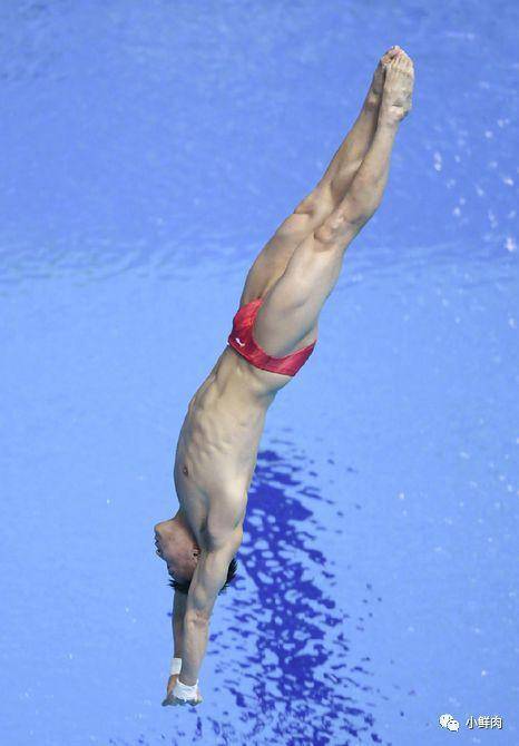 跳水队大包大揽除了陈艾森他们也让人上头