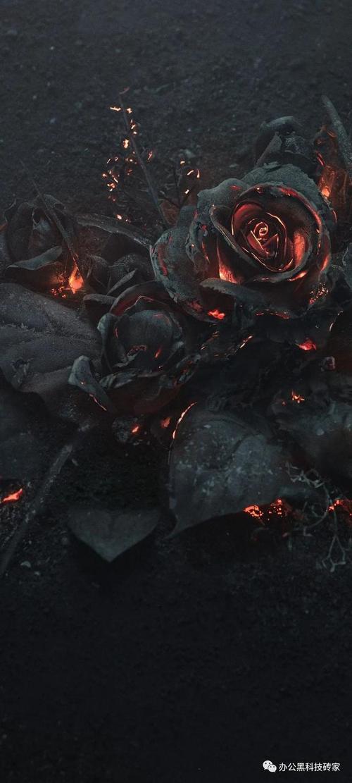 「壁纸」1 8t手机壁纸