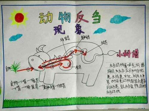 和牛有关的绘画故事手抄报 故事手抄报