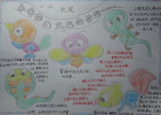 原文地址:关于动物尾巴作用的手抄报       天天女儿