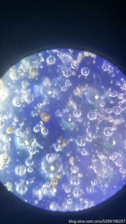 元青花死亡气泡欣赏~死亡老化气泡鉴定老瓷器的运用~绝杀赝品