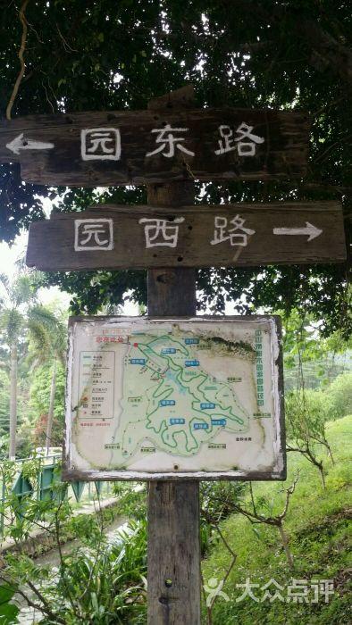 树木园-图片-中山周边游-大众点评网