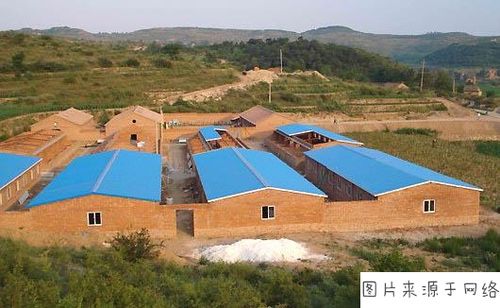 农民现在还能在自家耕地建养猪场么?