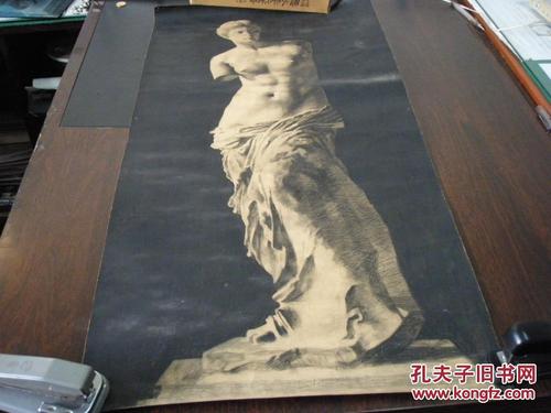 素描维纳斯女神