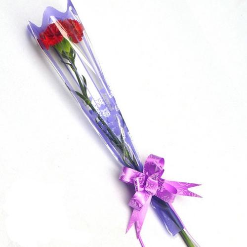 泉州厦门同城鲜花单支袋包装粉色康乃馨1支康乃馨母亲节 单独包装商品