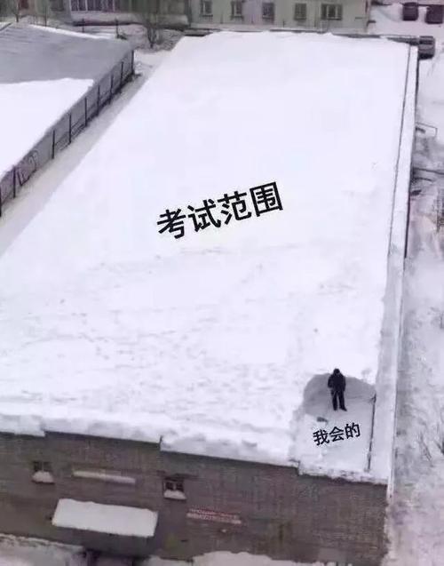 斗图表情包:我会的考试范围和手头的工作