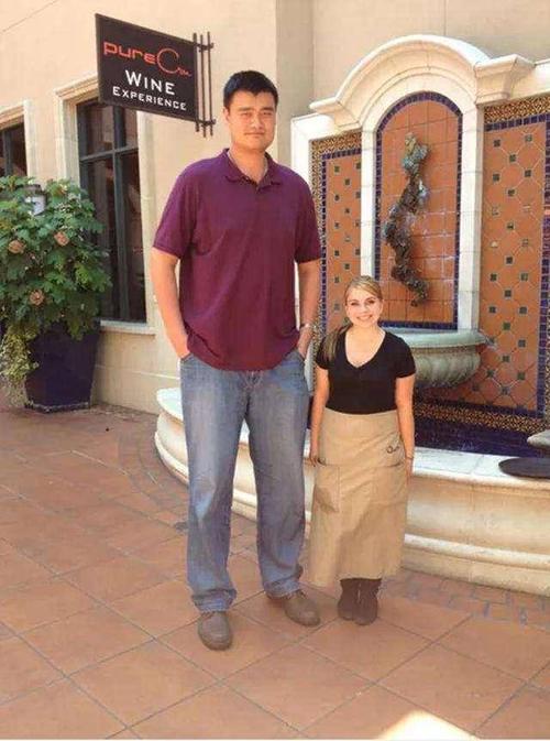 和2米26小巨人姚明合影感觉如何?鲨鱼也得抬头,潘晓婷