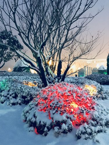 2018年盼望已久的第一场雪美丽的夜晚雪景 大饱眼福啦 美不胜收